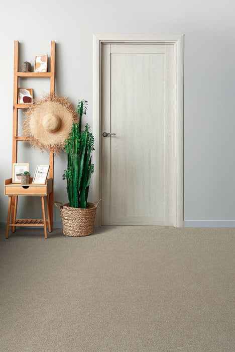 Reflections III Polyester Seashells 758 Carpet Textured 2