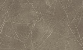 Vecchio Garaffite Flexible Resilient Luxury Vinyl Plank Flooring - ExoGuard+