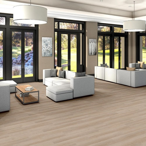 Indwell SPC SS Vinyl South Bay 02029 Resilient Luxury Vinyl Plank ExoGuard+ 4