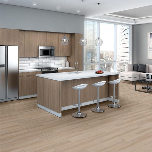 Indwell SPC SS Vinyl South Bay 02029 Resilient Luxury Vinyl Plank ExoGuard+ 5