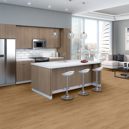 Indwell SPC SS Vinyl Honeycomb 06040 Resilient Luxury Vinyl Plank ExoGuard+ 5