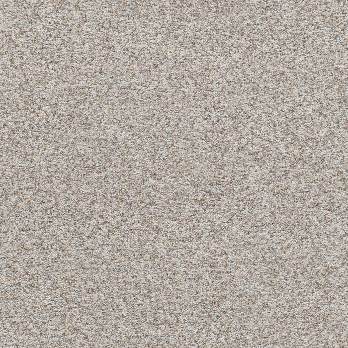 Prismatic III Polyester Saturation 7040 Carpet Textured 1