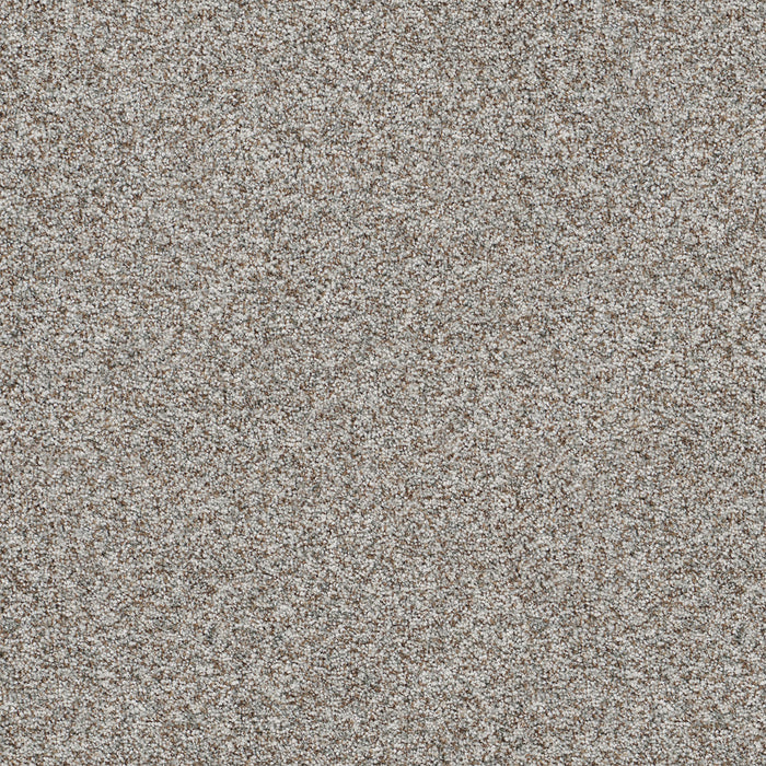 Prismatic II Polyester Patina 7050 Carpet Textured 1