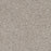 Prismatic II Polyester Crisp 7055 Carpet Textured 1