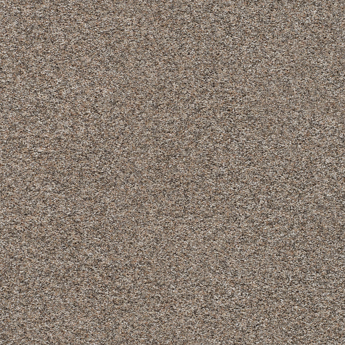 Prismatic I Polyester Resolution 7076 Carpet Textured 1