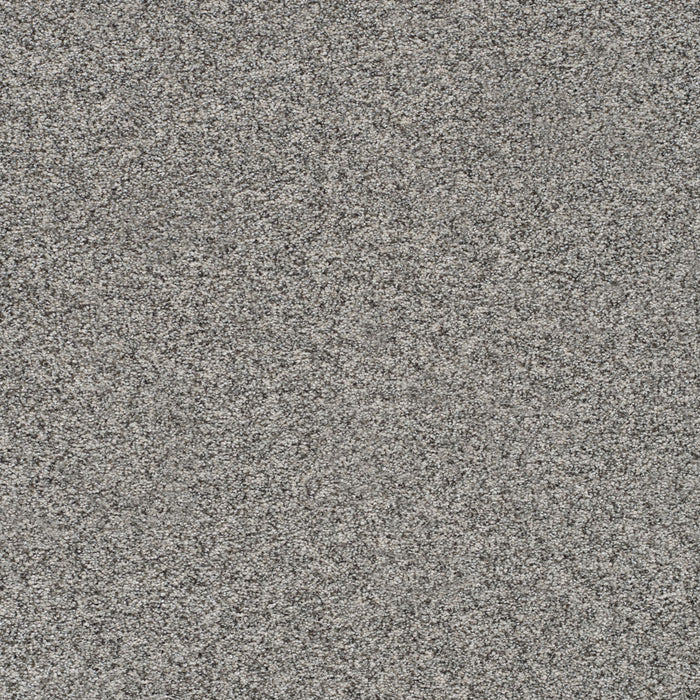 Prismatic II Polyester Sharp 7316 Carpet Textured 1