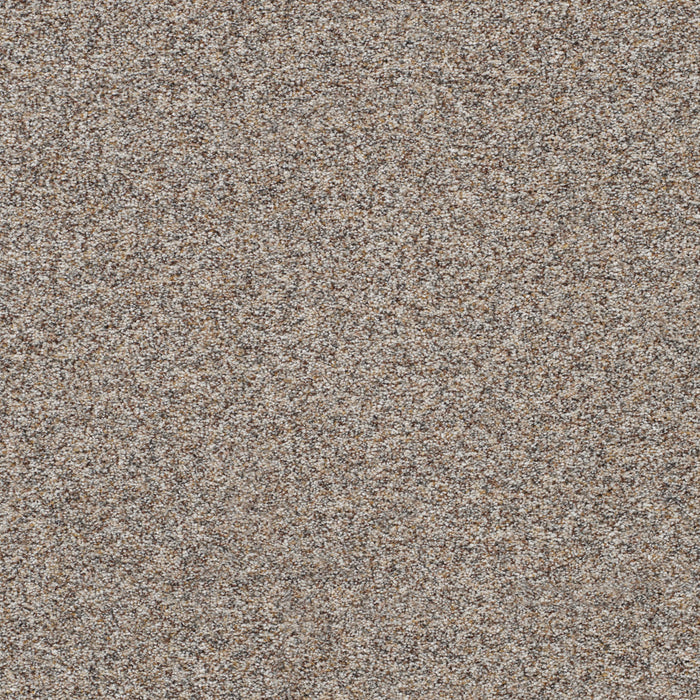 Prismatic III Polyester Mineral 7637 Carpet Textured 1