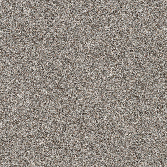 Prismatic III Polyester Gloss 7638 Carpet Textured 1