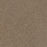 Spectrum II Polyester Charismatic 2566 Carpet Textured 1