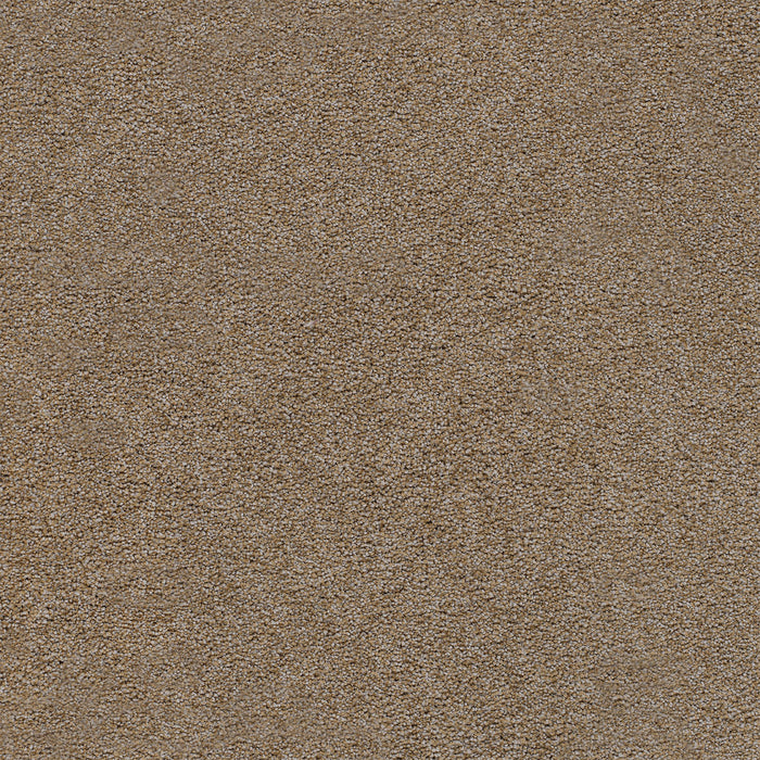 Spectrum II Polyester Charismatic 2566 Carpet Textured 1