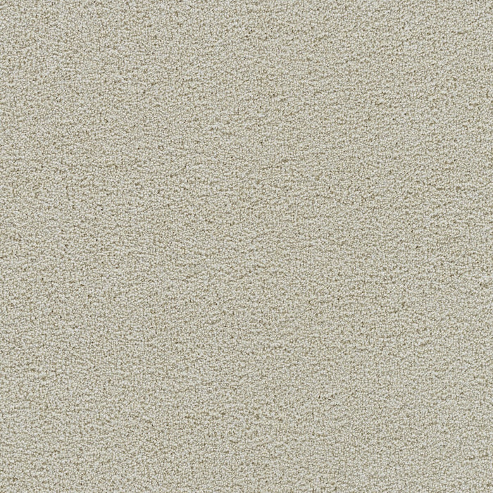 Spectrum III Polyester Whisper 2622 Carpet Textured 1
