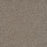 Spectrum I Polyester Hidden Treasure 2715 Carpet Textured 1