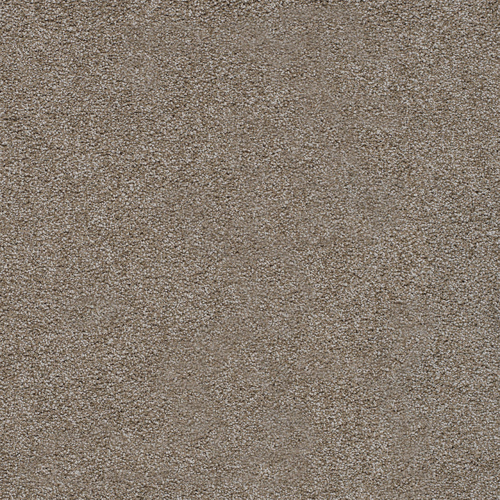 Spectrum I Polyester Hidden Treasure 2715 Carpet Textured 1