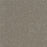 Spectrum I Polyester Skyvue 4011 Carpet Textured 1