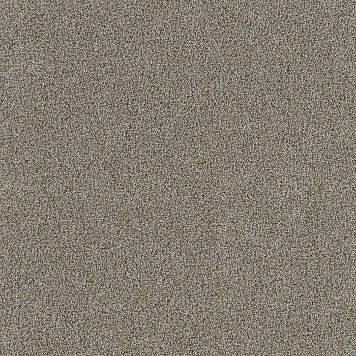 Spectrum I Polyester Skyvue 4011 Carpet Textured 1
