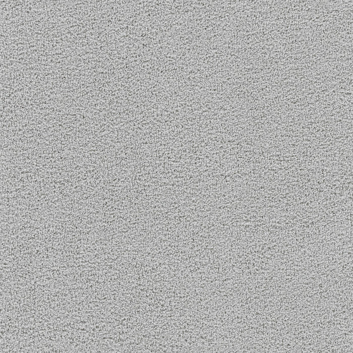 Spectrum III Polyester Frost 4453 Carpet Textured 1