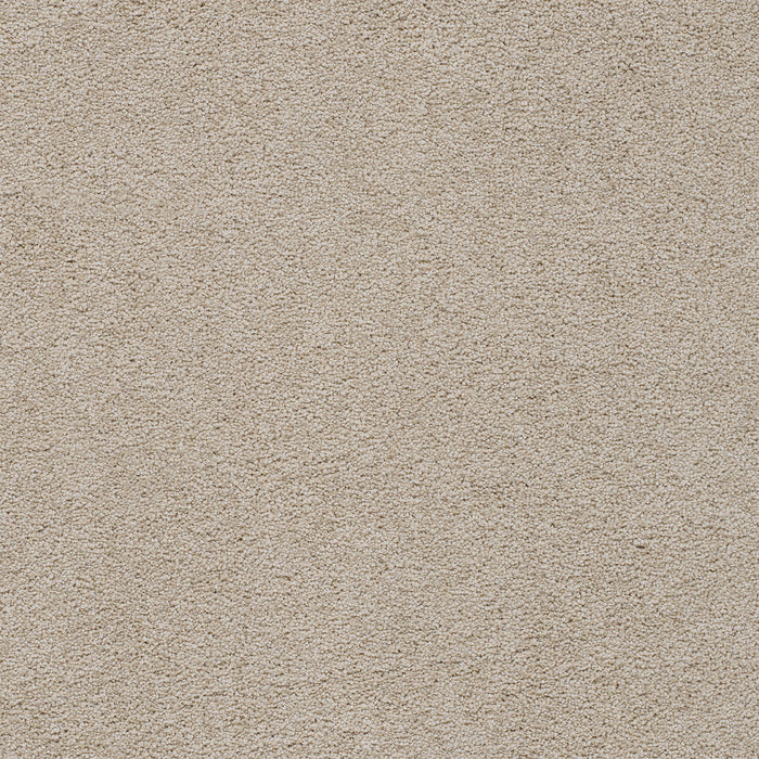 Spectrum I Polyester Even Better 4588 Carpet Textured 1