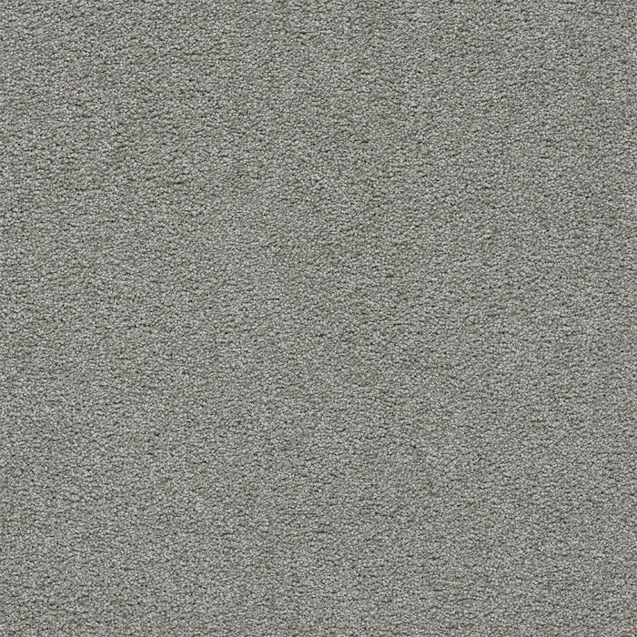 Spectrum I Polyester Kiwi Cove 4662 Carpet Textured 1