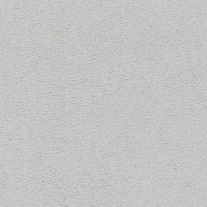 Spectrum I Polyester Vibrant 4696 Carpet Textured 1