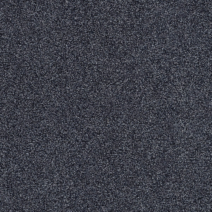 Spectrum II Polyester Black Sapphire 4800 Carpet Textured 1
