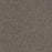 Spectrum I Polyester Gardner Soil 4901 Carpet Textured 1