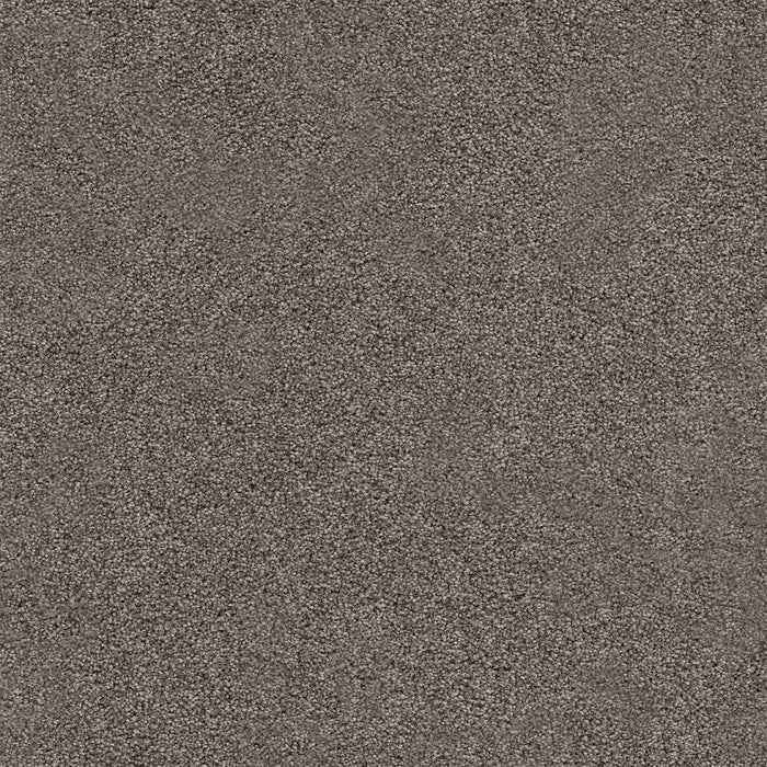 Spectrum III Polyester Gardner Soil 4901 Carpet Textured 1