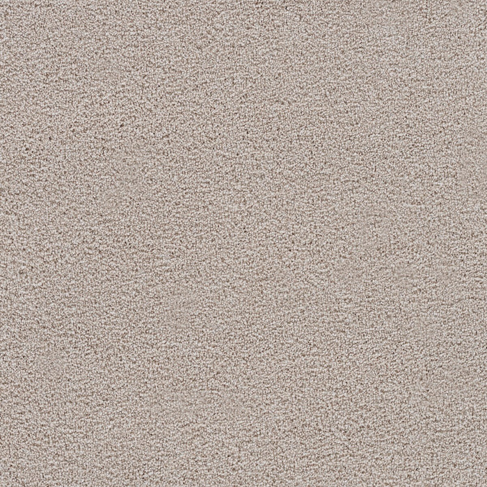 Spectrum I Polyester Soft Petal 4985 Carpet Textured 1