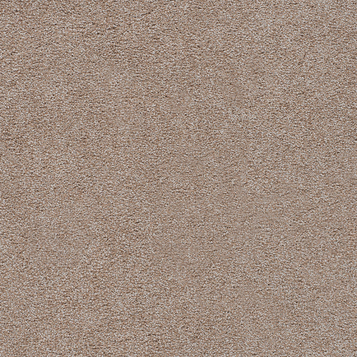 Spectrum I Polyester Colorful Leaves 5015 Carpet Textured 1