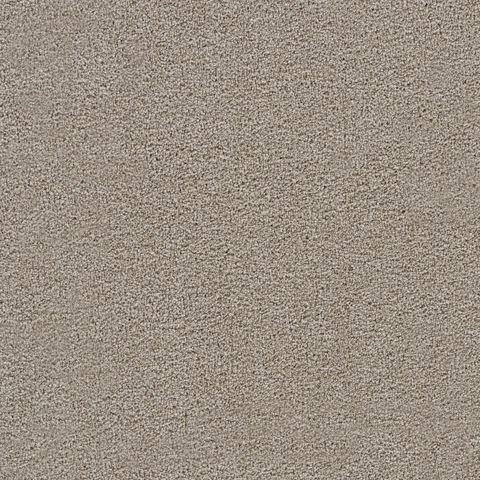 Spectrum II Polyester Ventura 5030 Carpet Textured 1