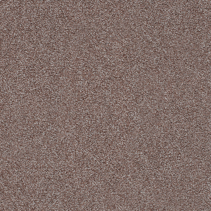 Spectrum I Polyester Rumors 5102 Carpet Textured 1