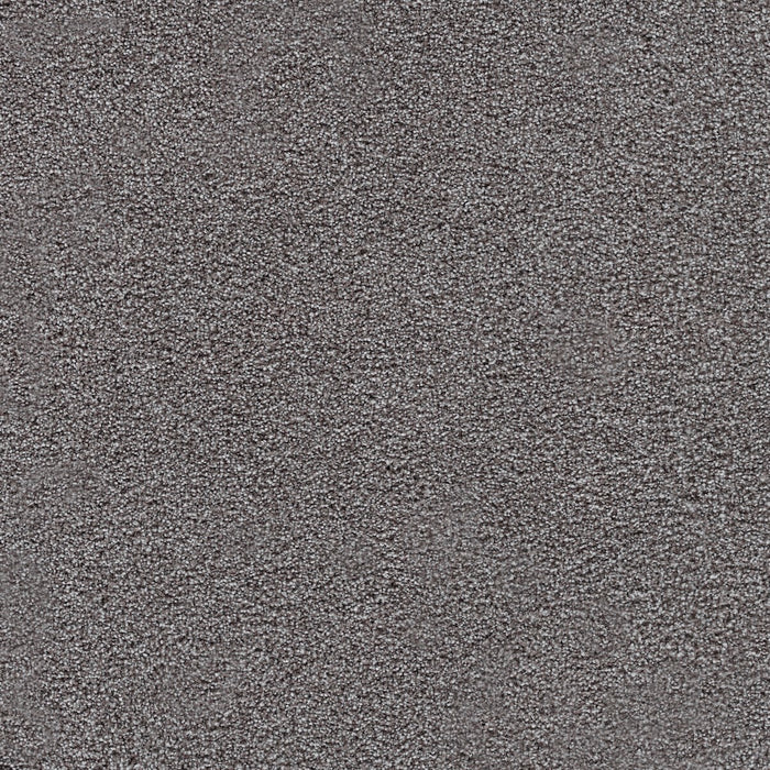 Spectrum I Polyester Cherry Cola 5235 Carpet Textured 1
