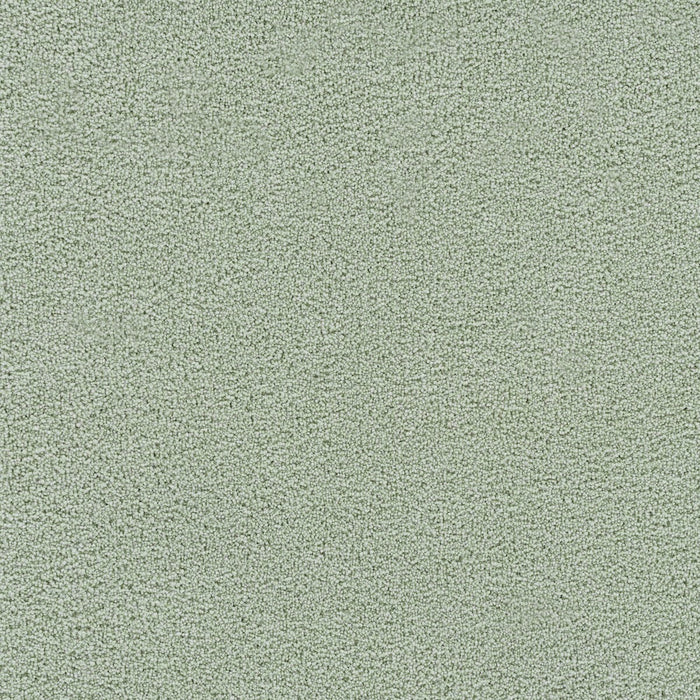 Spectrum I Polyester Avocado 5276 Carpet Textured 1