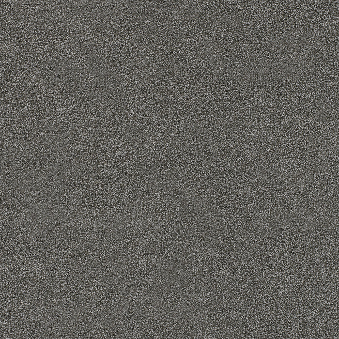 Spectrum II Polyester Lagoon 5350 Carpet Textured 1
