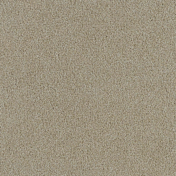 Spectrum III Polyester Cream 580 Carpet Textured 1