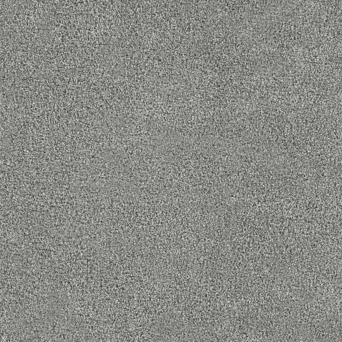 Spectrum I Polyester Tidecrest 700 Carpet Textured 1