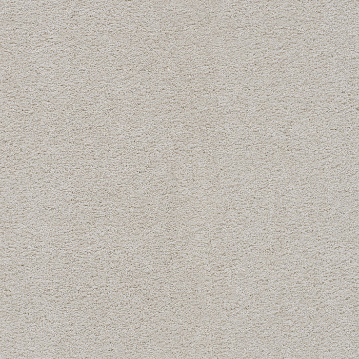 Spectrum III Polyester Polar Bear 712 Carpet Textured 1