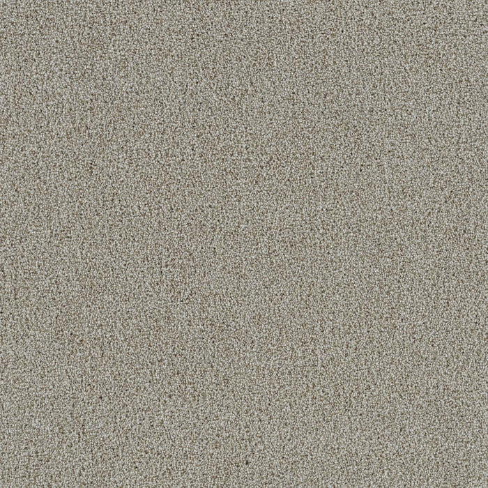 Spectrum III Polyester Meadowdale 768 Carpet Textured 1