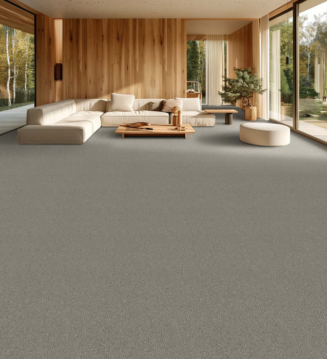 Spectrum I Polyester Skyvue 4011 Carpet Textured 2