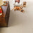 Mykonos Polyester Bay Dream 4539 Carpet Loop 3