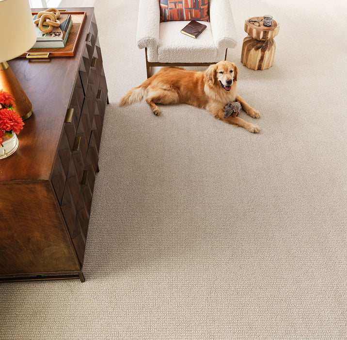 Mykonos Polyester Bay Dream 4539 Carpet Loop 3