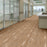 Metropolis 6 Five Points Flexible Resilient Luxury Vinyl Plank Flooring - Opticlean Urethane