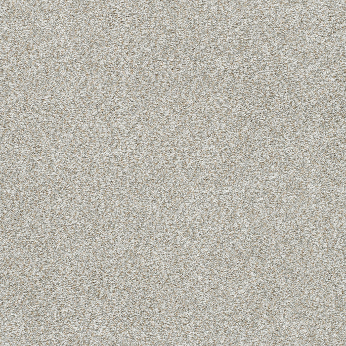 Silver Lining IV Polyester Distrail 2785 Carpet Textured 1