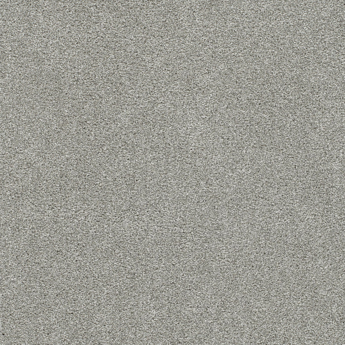 Silver Lining II Polyester Alto 2820 Carpet Textured 1