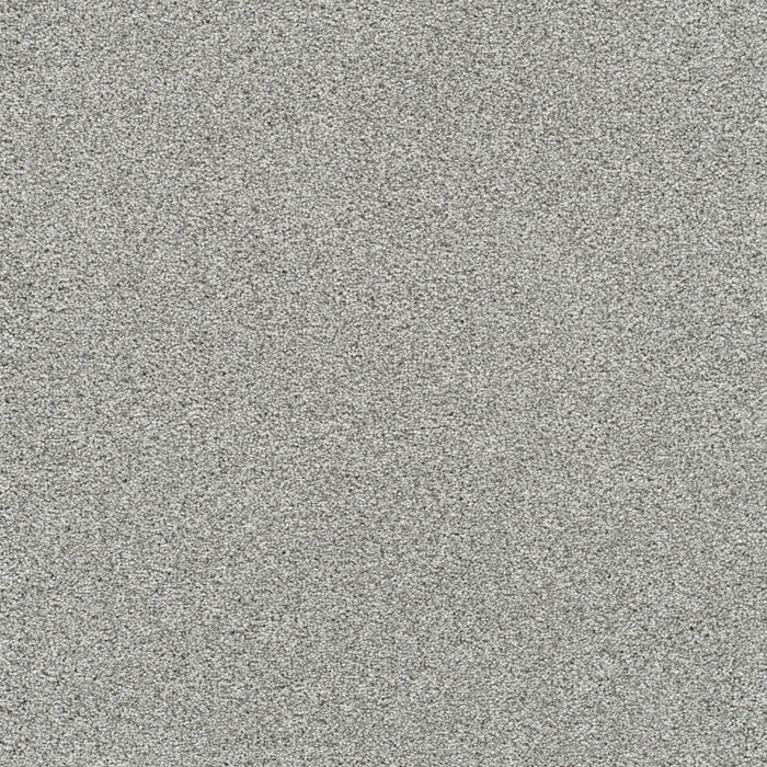 Silver Lining III Polyester Galactic 2830 Carpet Textured 1