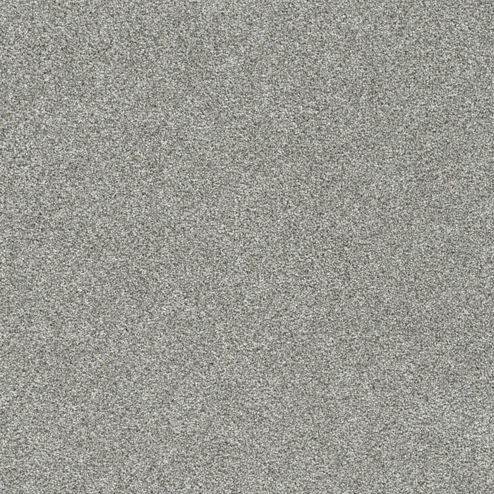 Silver Lining III Polyester Cosmic 2835 Carpet Textured 1