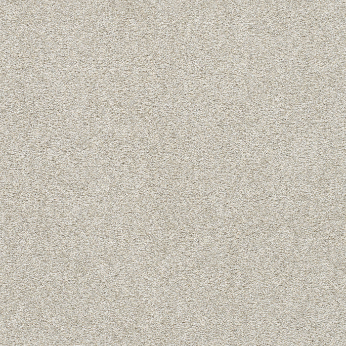 Silver Lining III Polyester Nimbus 2838 Carpet Textured 1