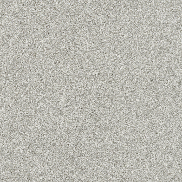 Silver Lining IV Polyester Contrail 2881 Carpet Textured 1