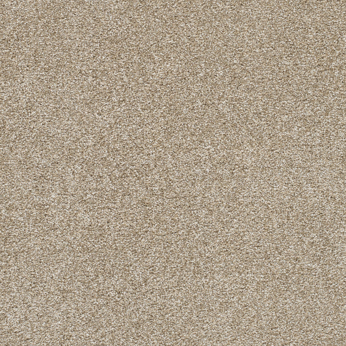 Silver Lining II Polyester Dust 2892 Carpet Textured 1
