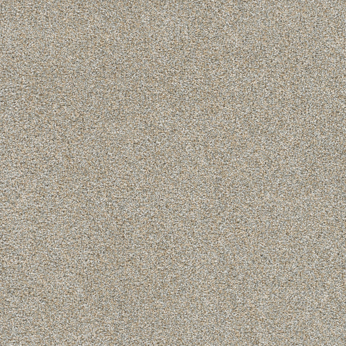 Silver Lining III Polyester Cirrus 2904 Carpet Textured 1