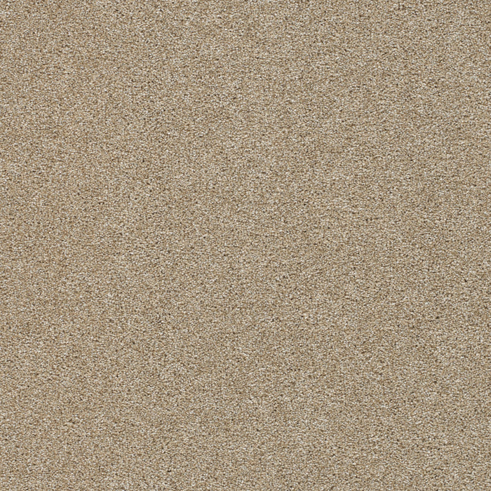 Silver Lining II Polyester Cumulus 2941 Carpet Textured 1